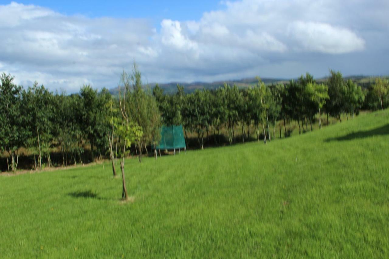 Bunlin Heights Self Catering Studio Milford Esterno foto